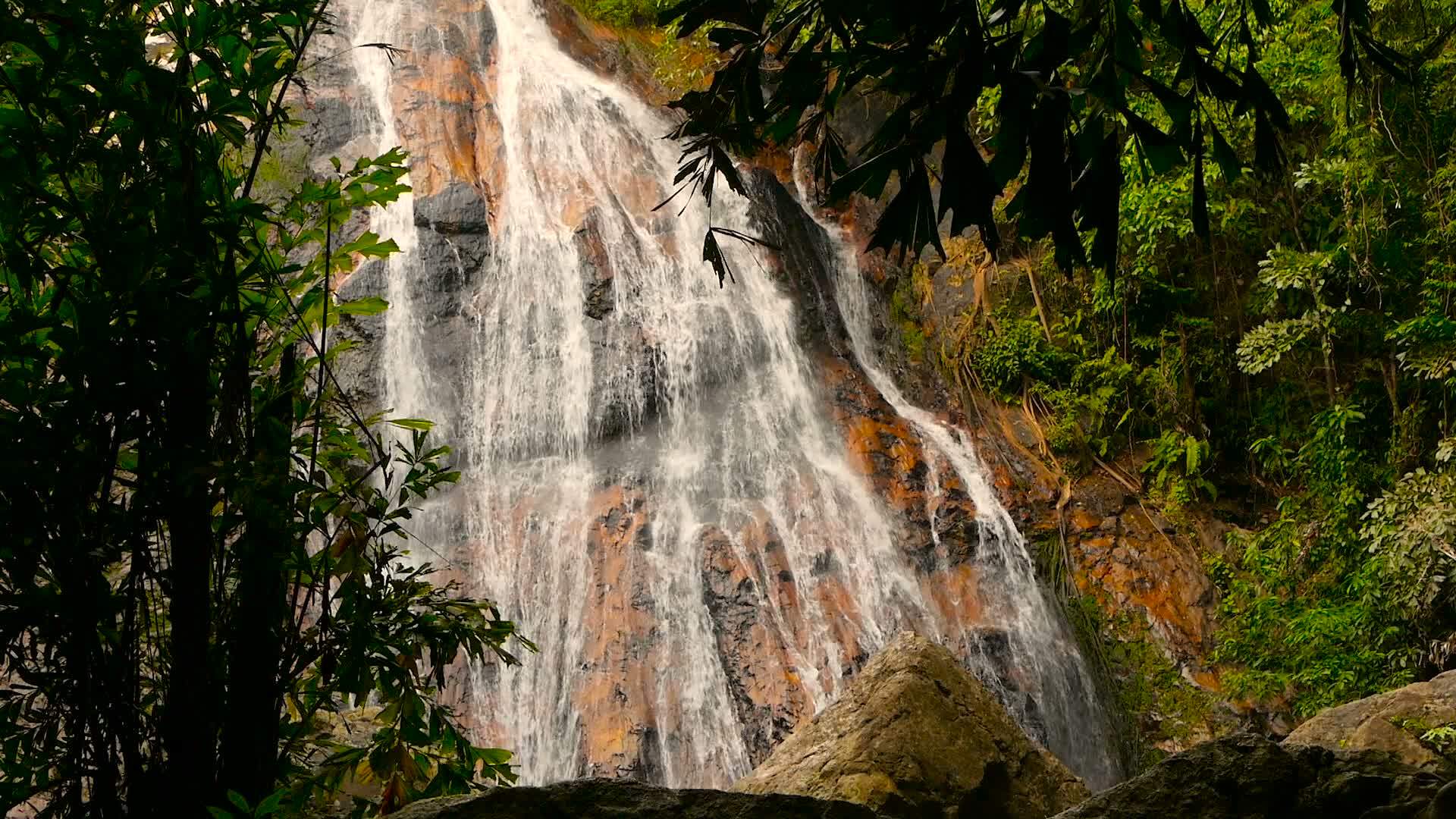 热带国家的丛林天堂景观来自悬崖上的水流视频的预览图