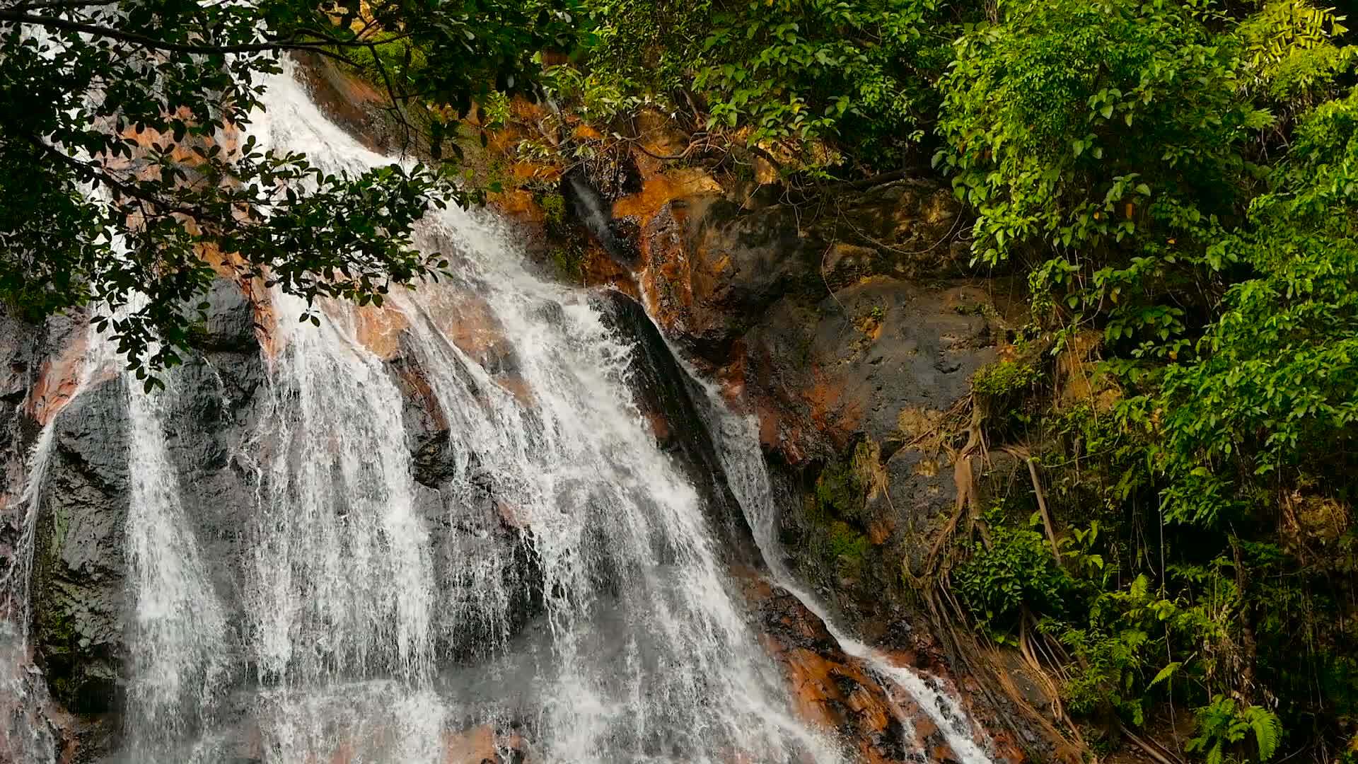 热带国家的丛林瀑布景观视频的预览图