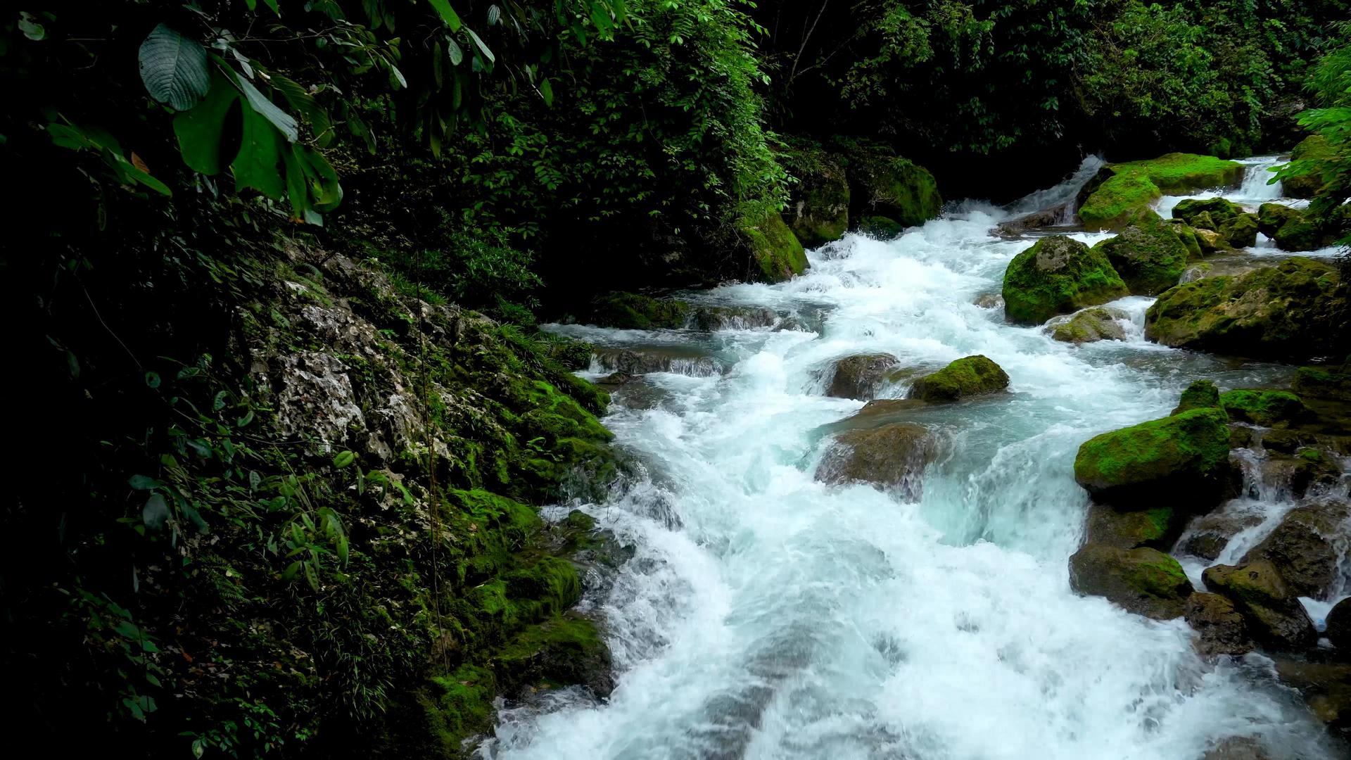 贵州山涧溪流小瀑布视频的预览图