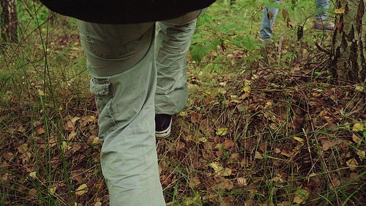 步行者的腿靠近森林视频的预览图