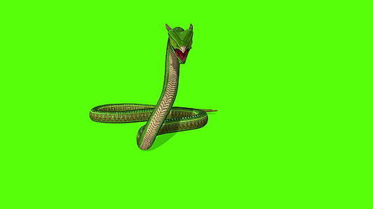 蛇攻绿幕视频的预览图