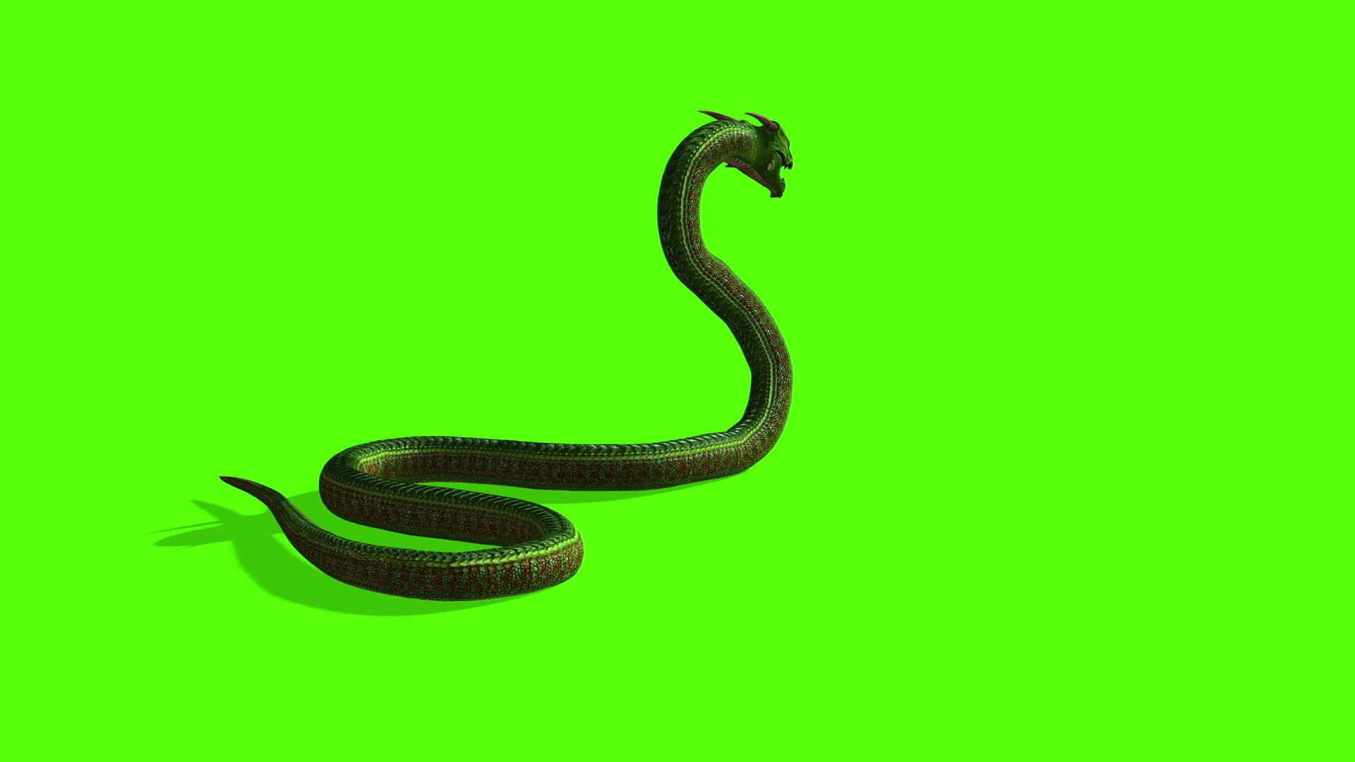 蛇攻击动画绿屏视频的预览图