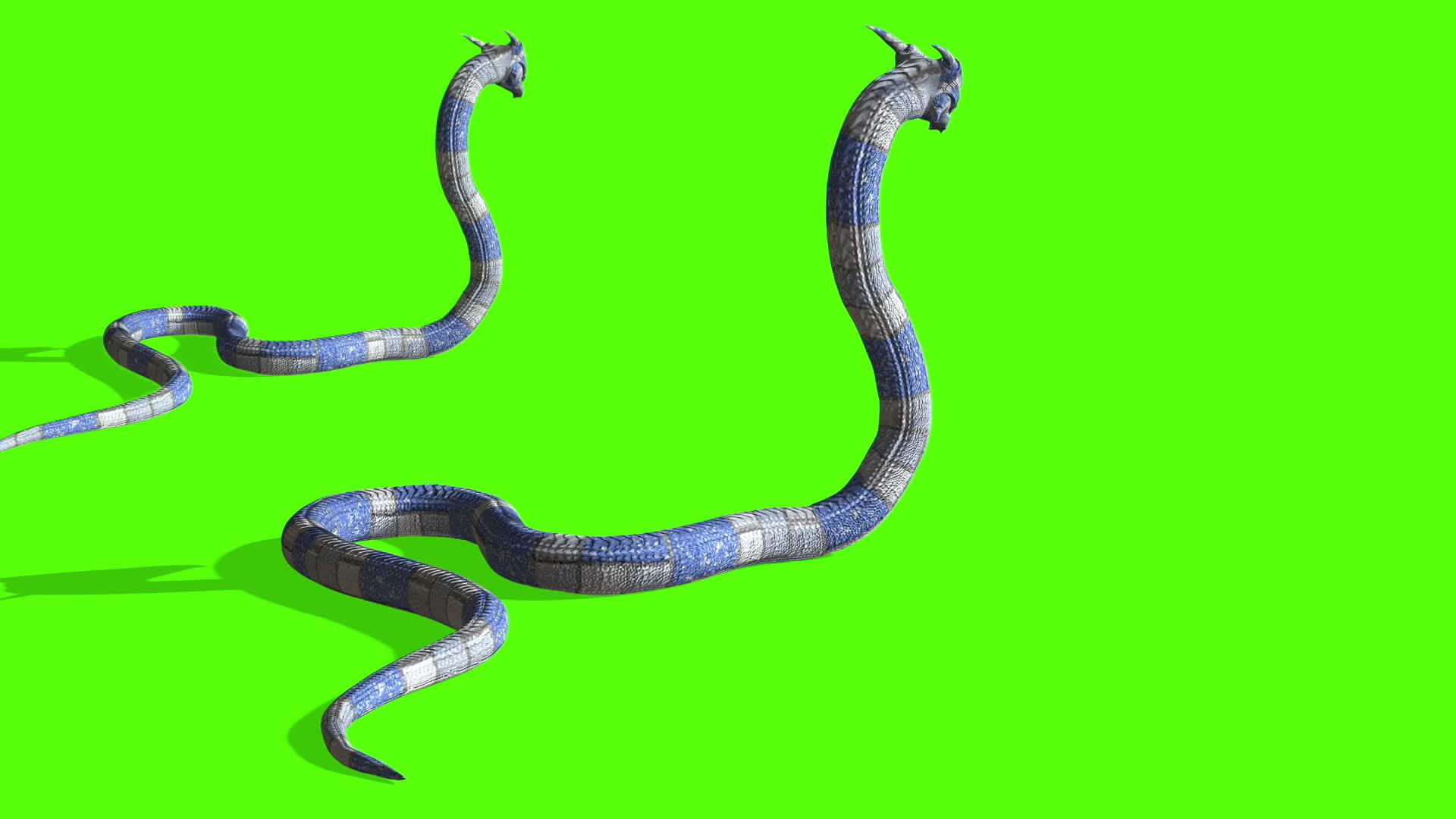 蛇攻击动画视频的预览图