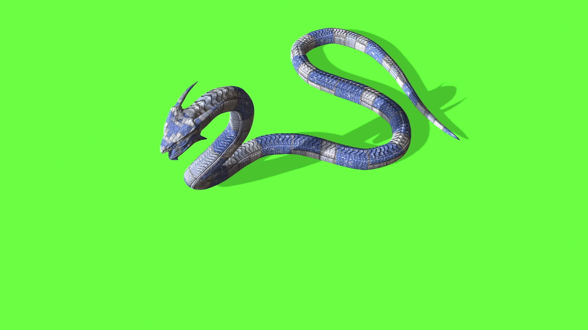 蛇攻击动画-Python绿屏视频的预览图
