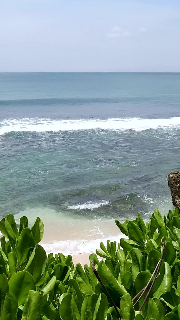 印尼巴厘岛海边自然风光视频的预览图