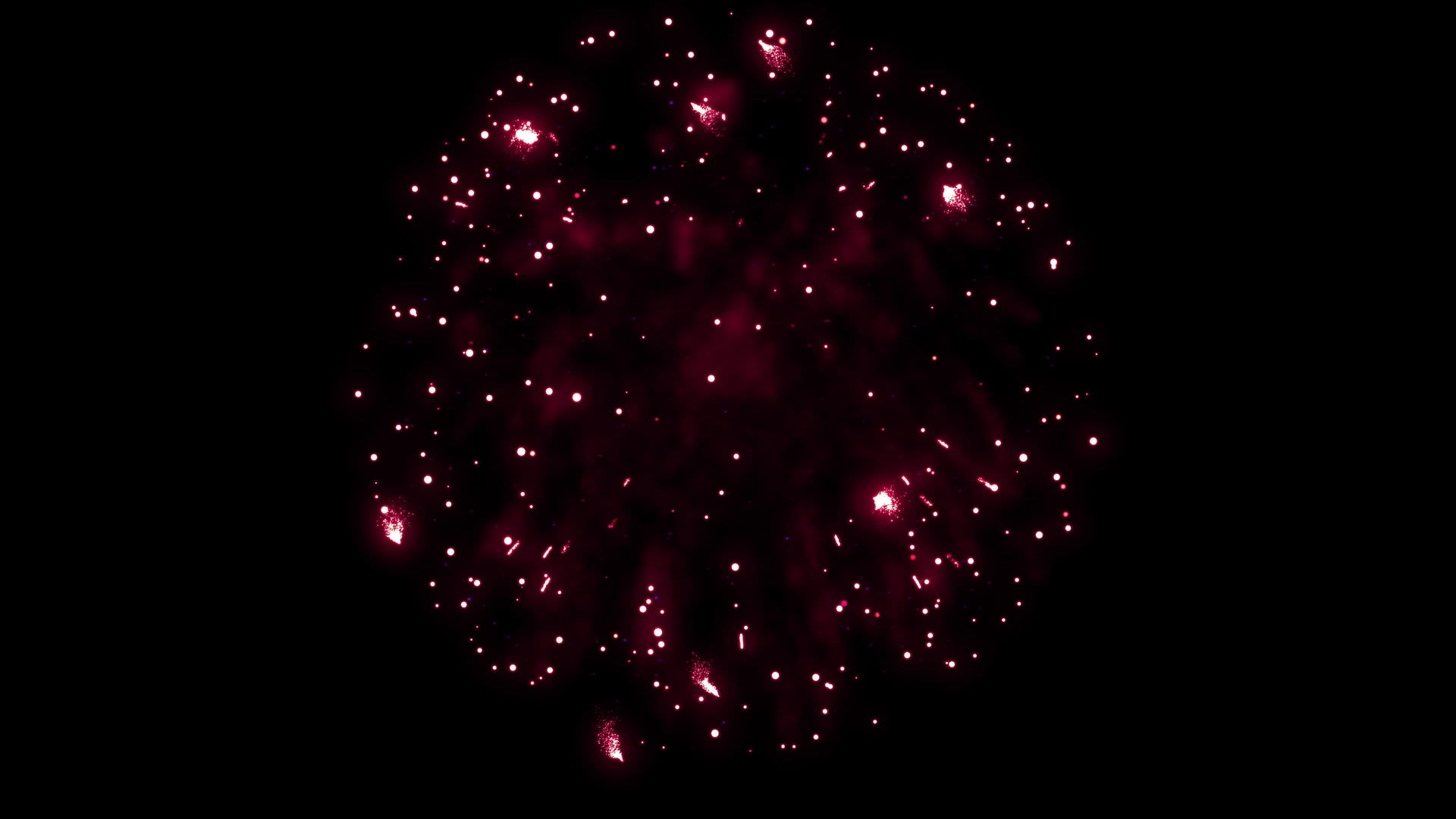 黑色背景4K彩色烟花的闪光动画视频的预览图