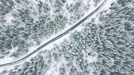 航拍新疆冬季白桦林公路视频的预览图