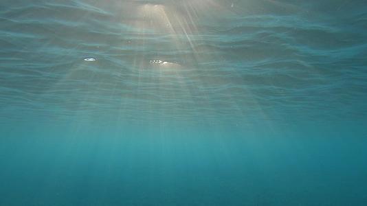 令人惊叹的蓝海水下景象视频的预览图