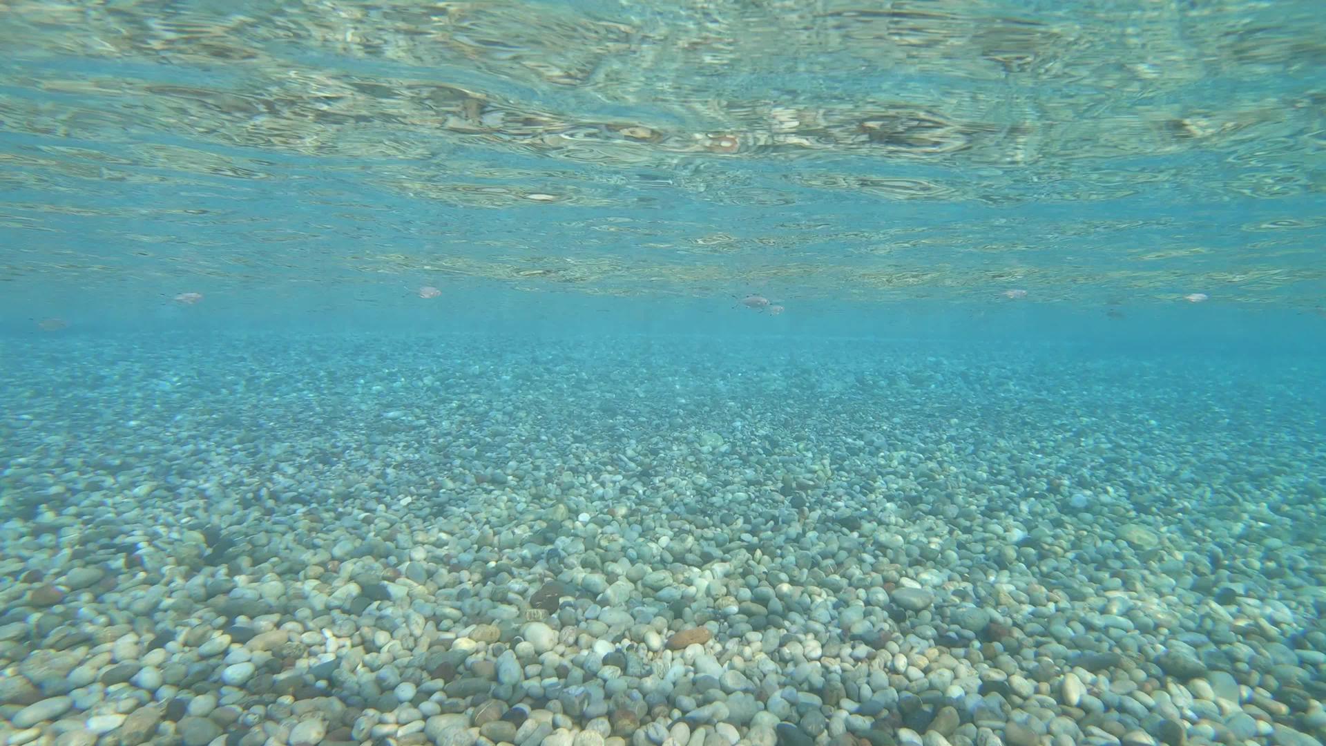 令人惊叹的蓝海水下景象视频的预览图