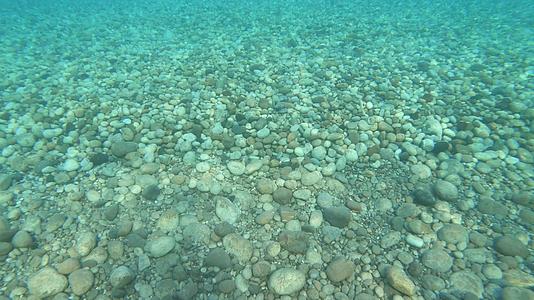 令人惊叹的蓝海水下景象视频的预览图