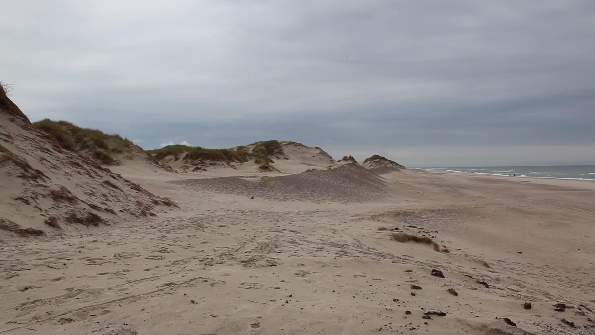 hvide斜体沙丘视频的预览图