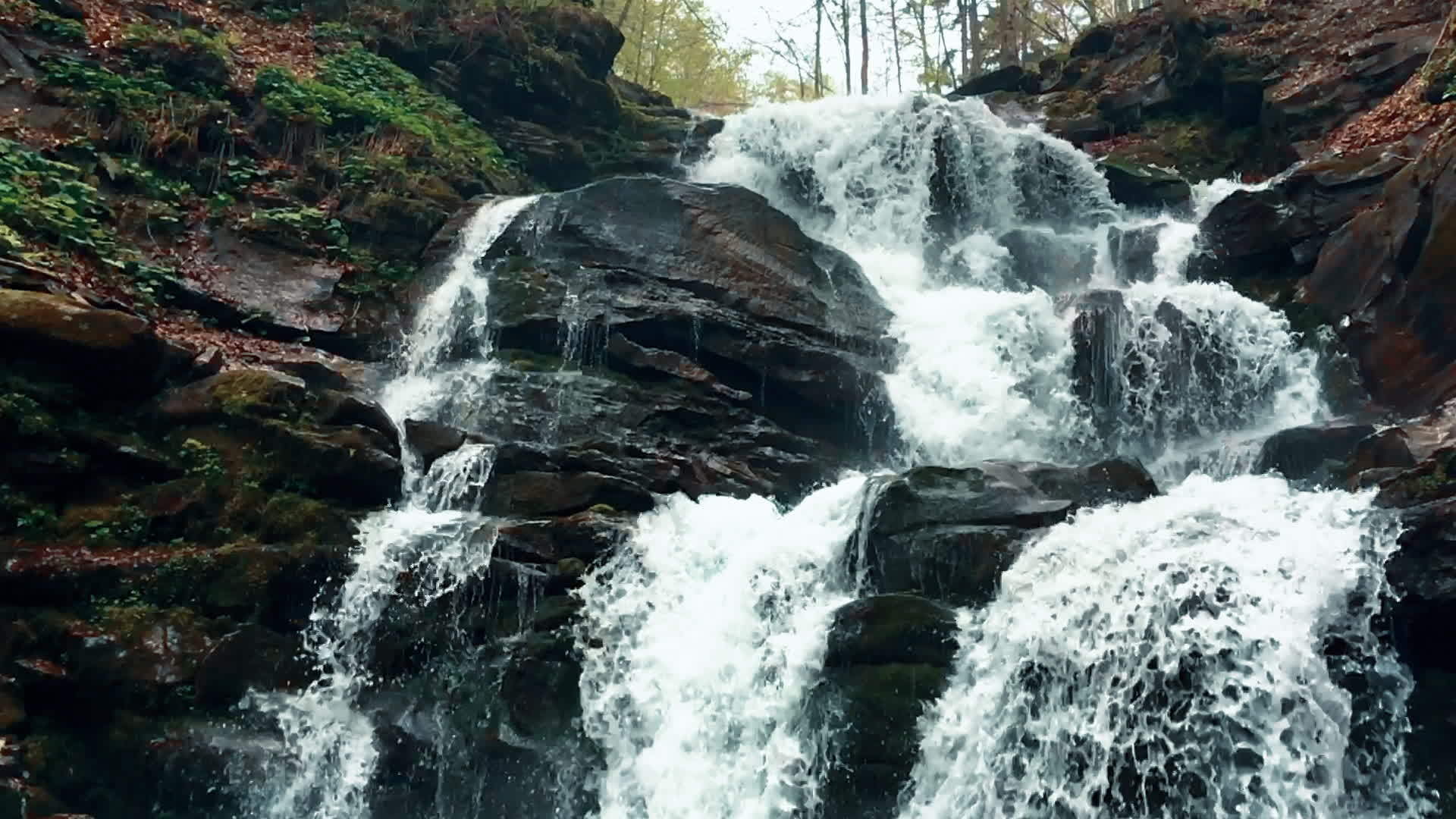 山上的瀑布森林里清澈的水晶视频的预览图