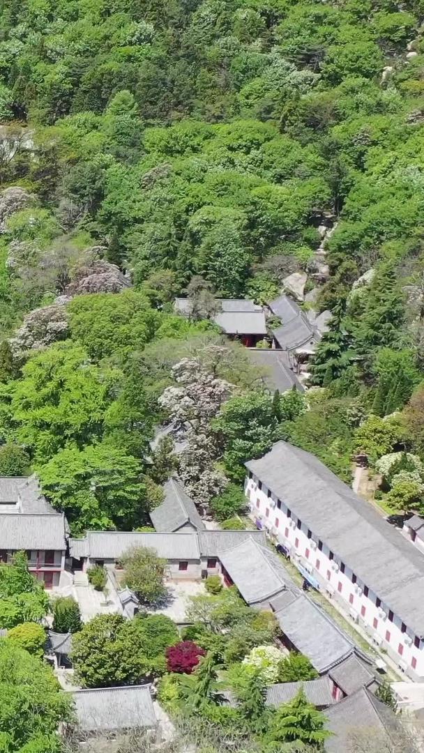 青岛崂山太清宫古建筑群航拍视频视频的预览图