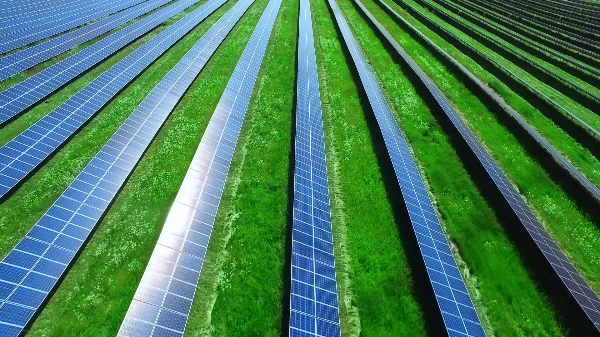 太阳能农场站光伏模块视频的预览图