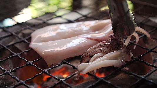 传统炉子上的鱿鱼片烧烤视频的预览图