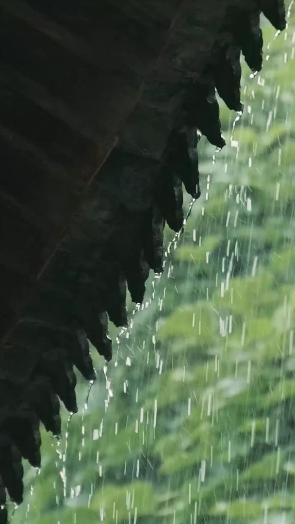 节气雨水视频集合视频的预览图
