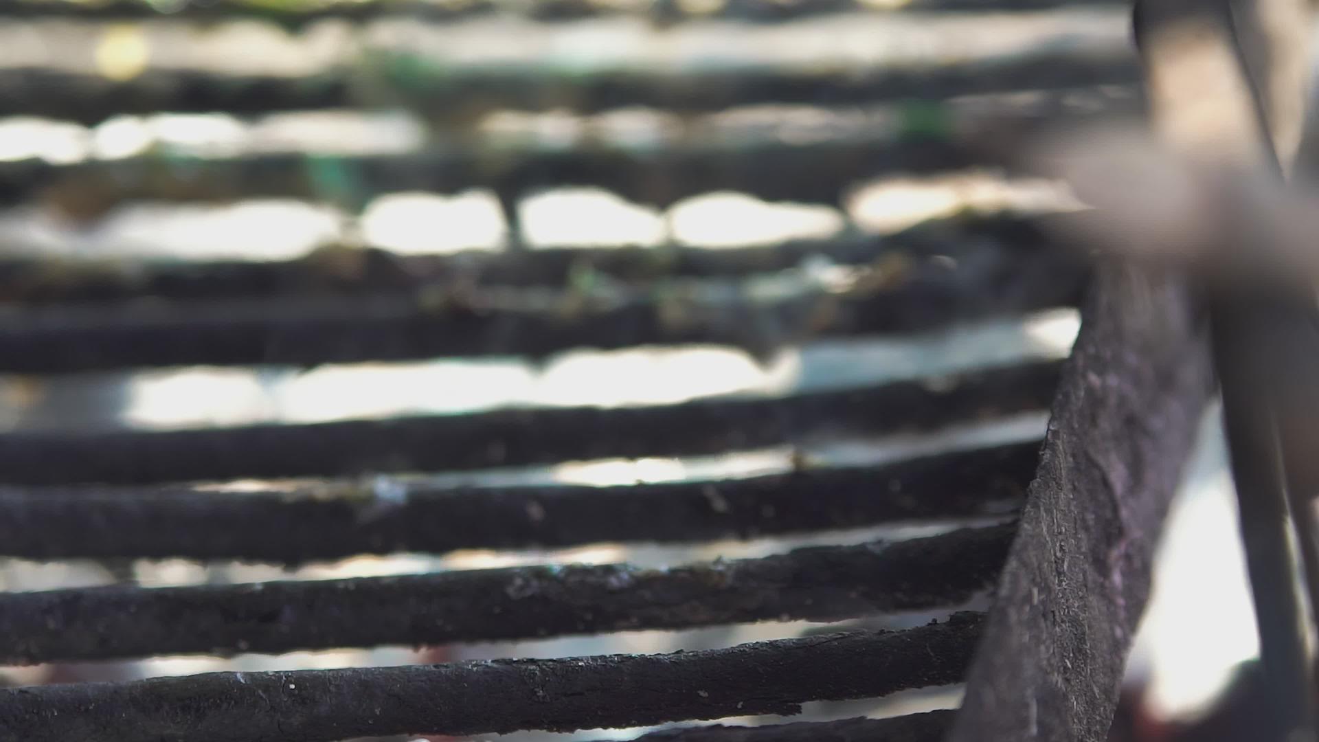 烧烤架上的烤鱼视频的预览图