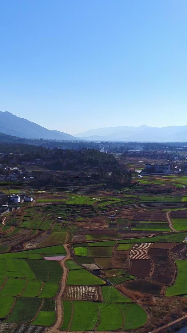 云南大理田园农业航拍视频的预览图