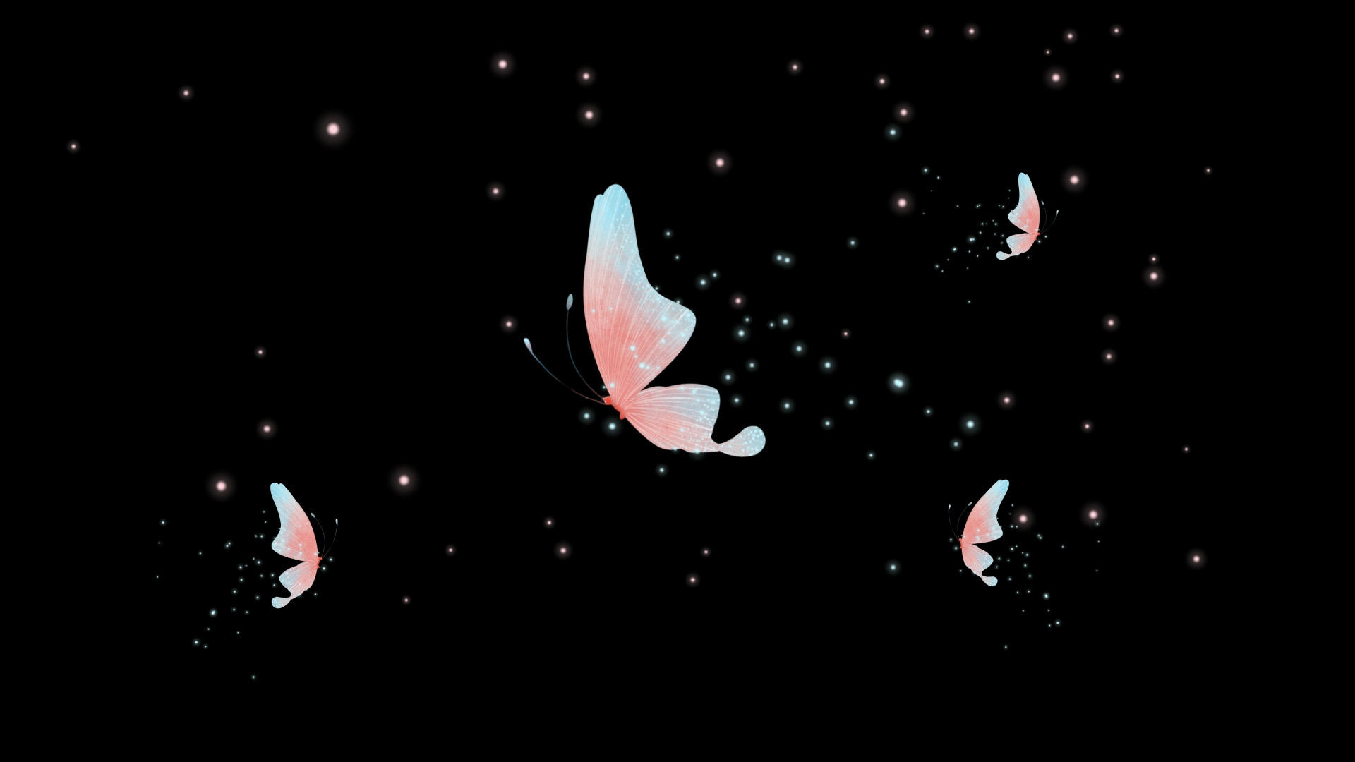 粉色飞舞蝴蝶视频的预览图