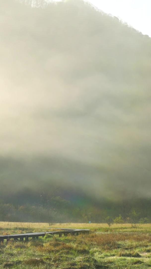 5A景区神农架大九湖清晨雾散延时集合视频的预览图
