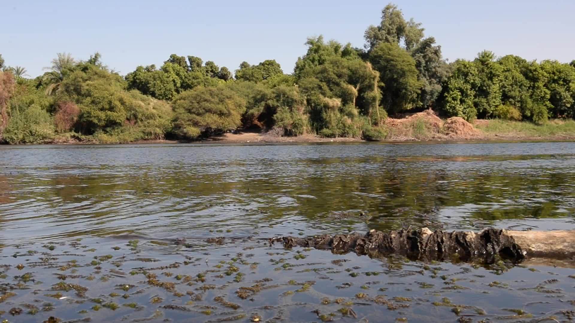 淡水水生水产养殖沿河风景生长视频的预览图