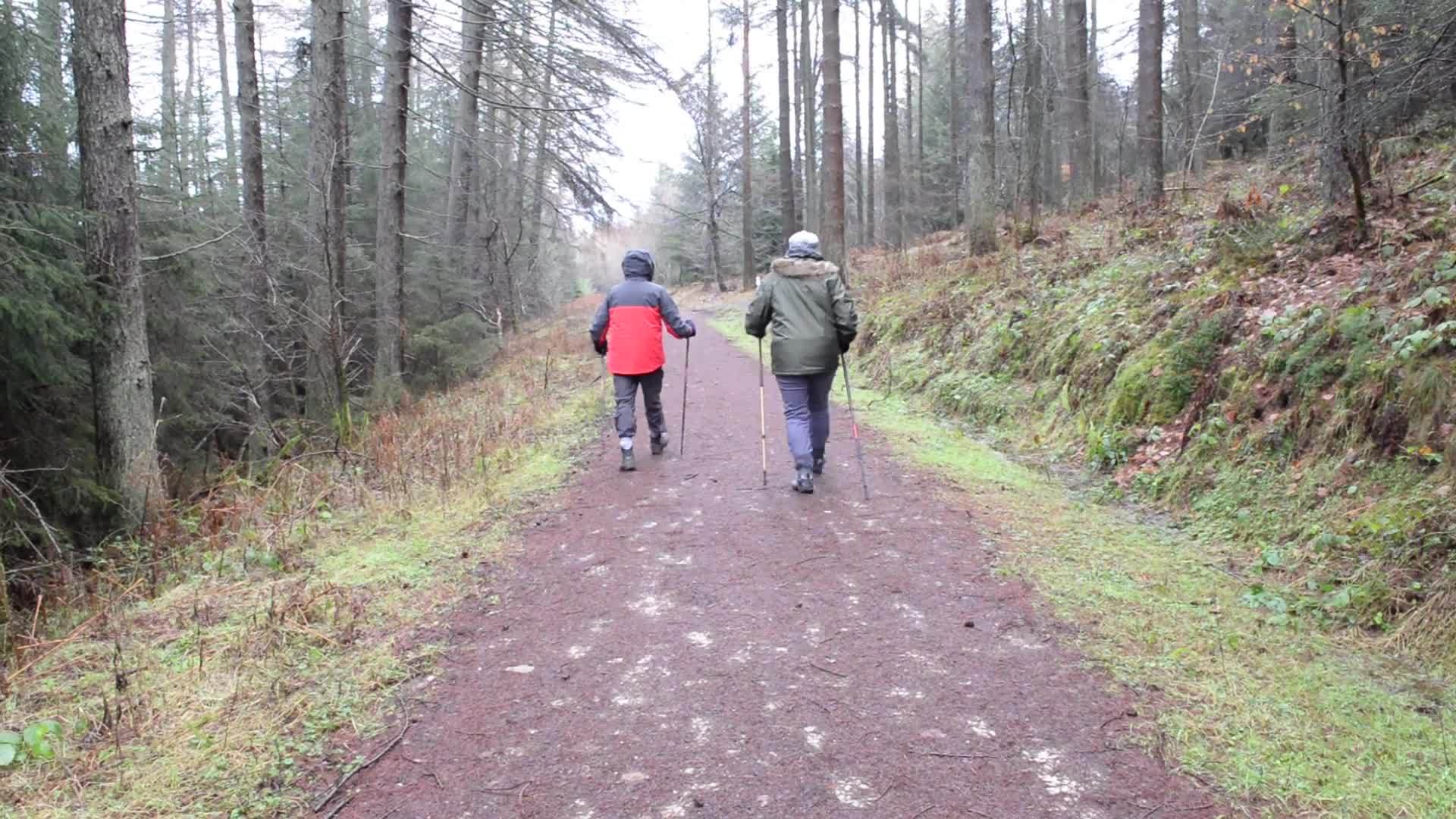 一对夫妇在乡村林地中行走视频的预览图