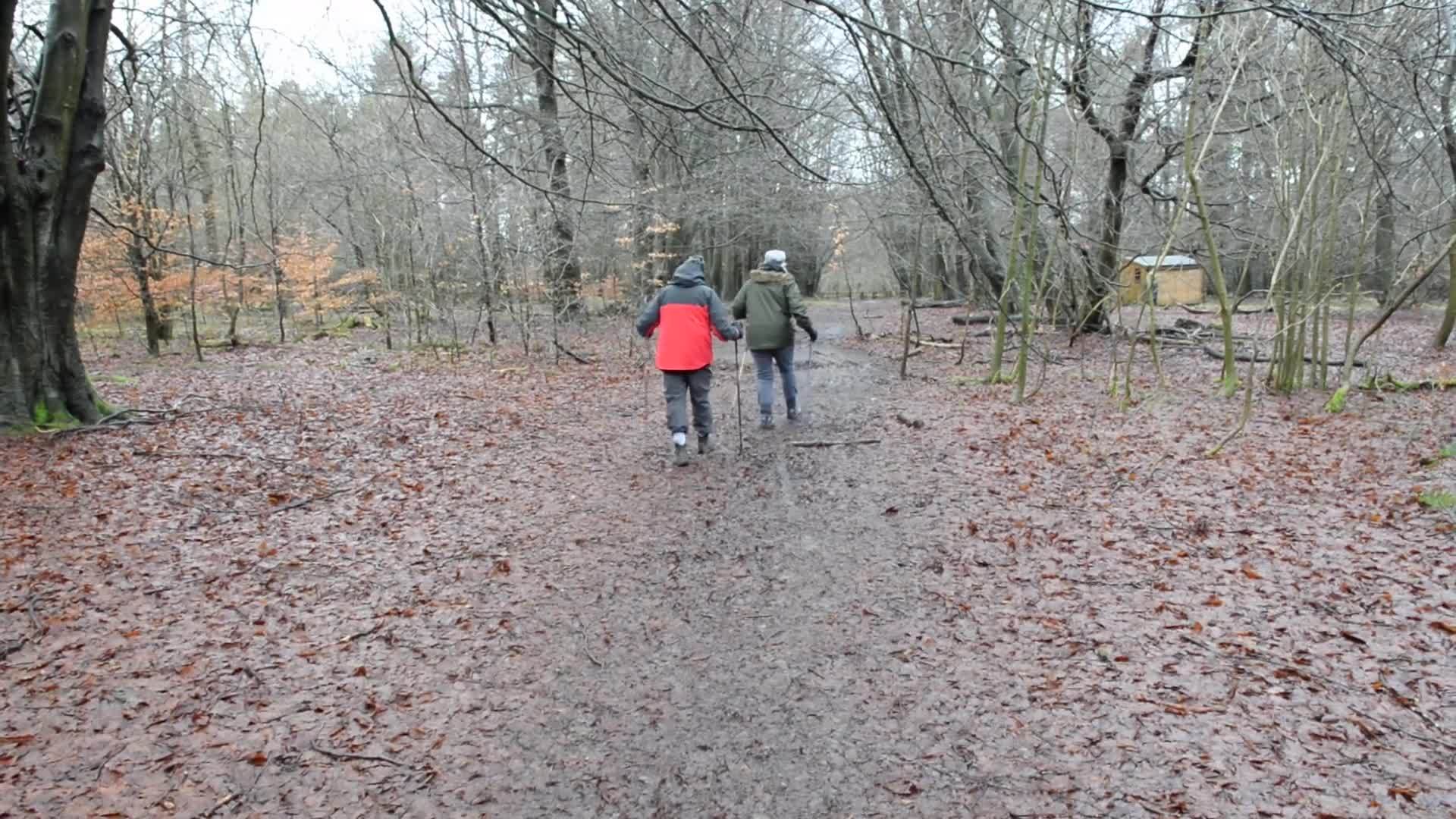 一对夫妇在乡村林地中行走视频的预览图