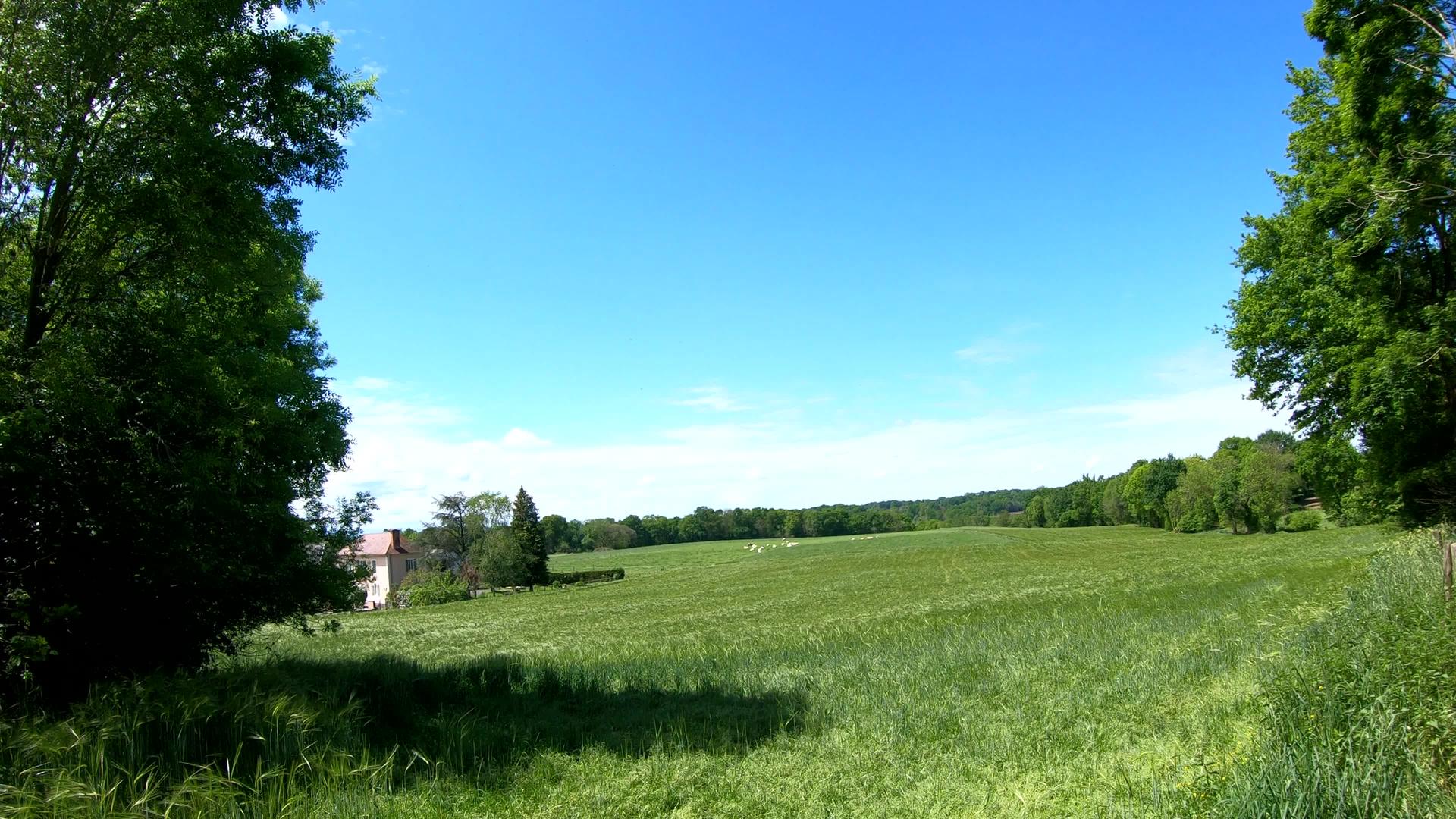 法国农村田地航拍视频的预览图