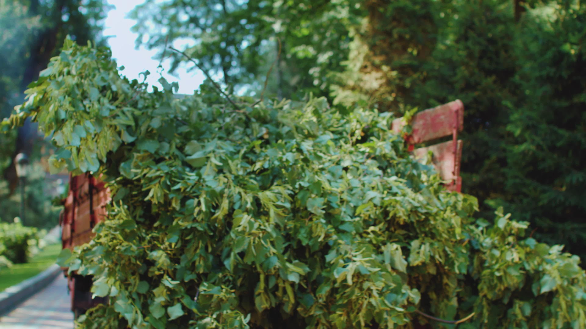 夏季公园绿树枝的红色拖拉机视频的预览图