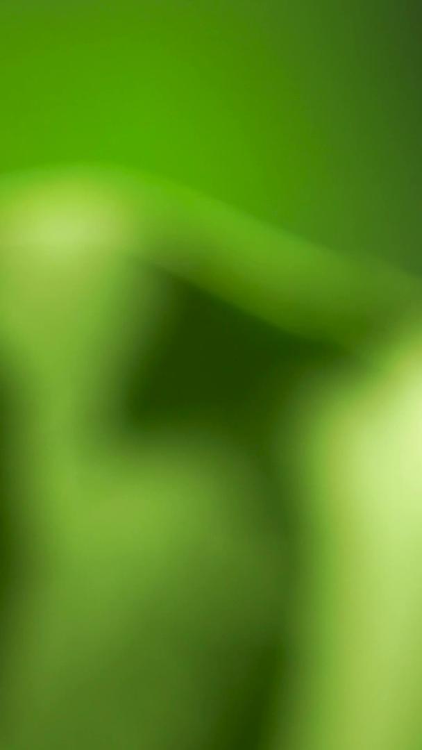 吃树叶的微距绿色昆虫视频的预览图