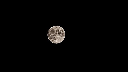8K月圆之夜超级月亮视频的预览图