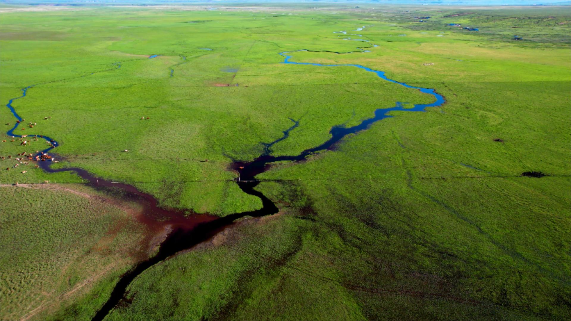 5k航拍鸟瞰美丽草原上曲折蜿蜒的河流九曲十八湾视频的预览图