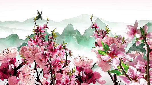 中国风樱花春天背景视频视频的预览图