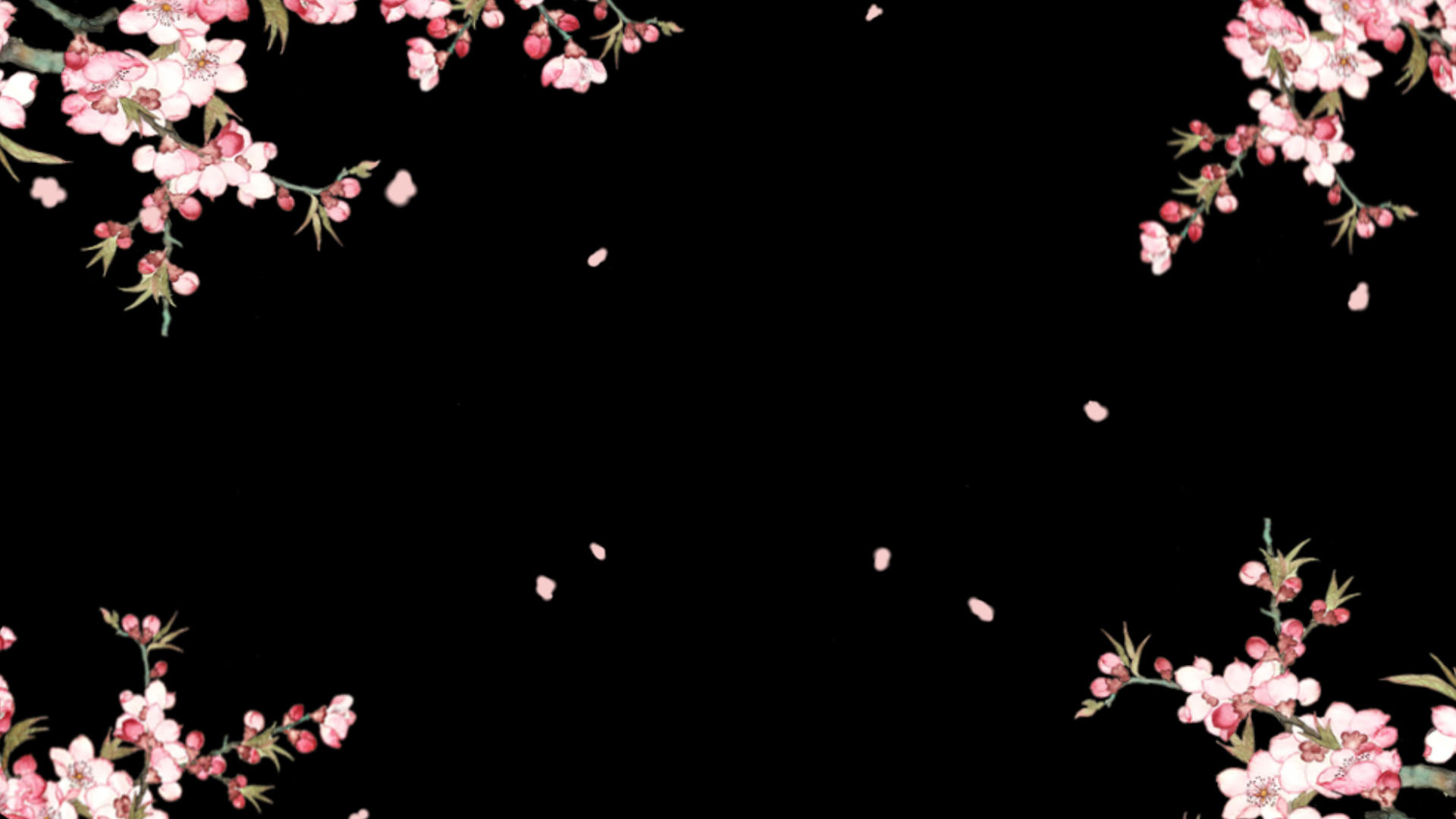 花框花枝摇曳花瓣飞舞背景视频视频的预览图