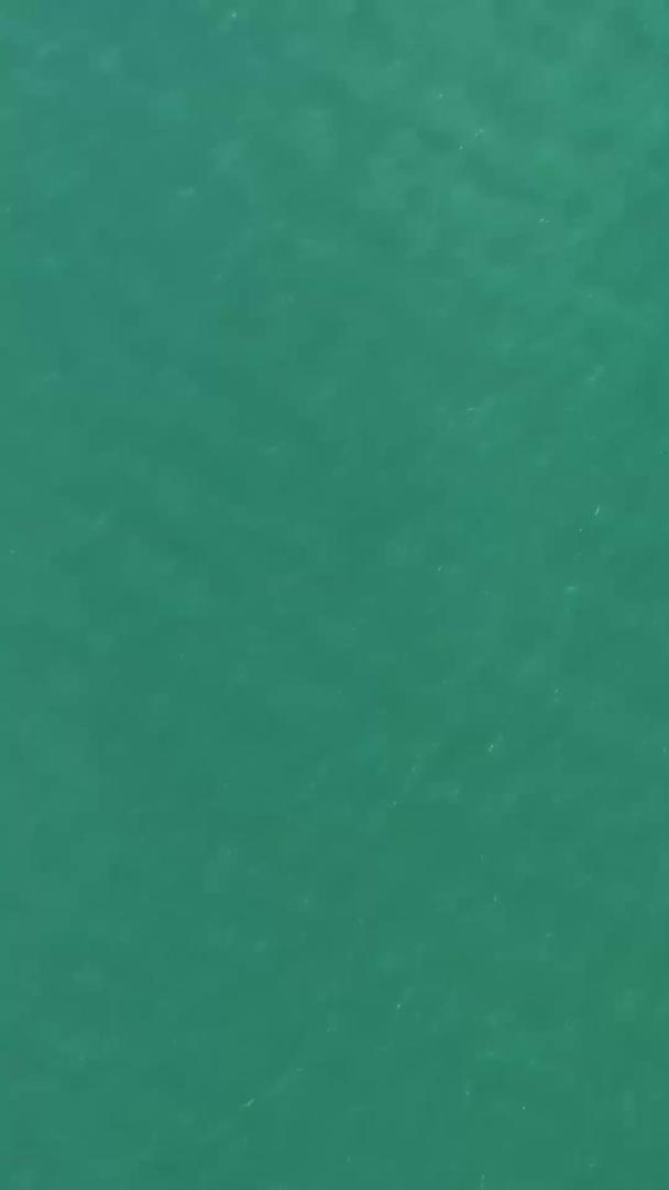 青岛栈桥航拍景区视频的预览图