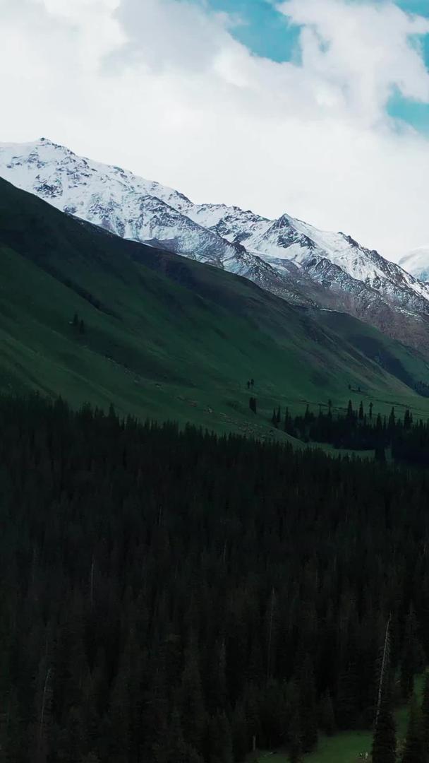 新疆伊犁雪山草原森林自然风景视频的预览图