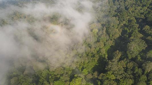 雨林和山丘的热带景观视频的预览图