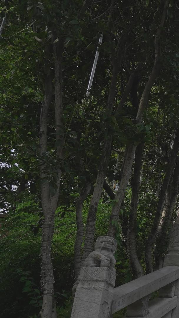 湖北省旅游地标5A级景区琴川阁古建筑台阶街景素材视频的预览图