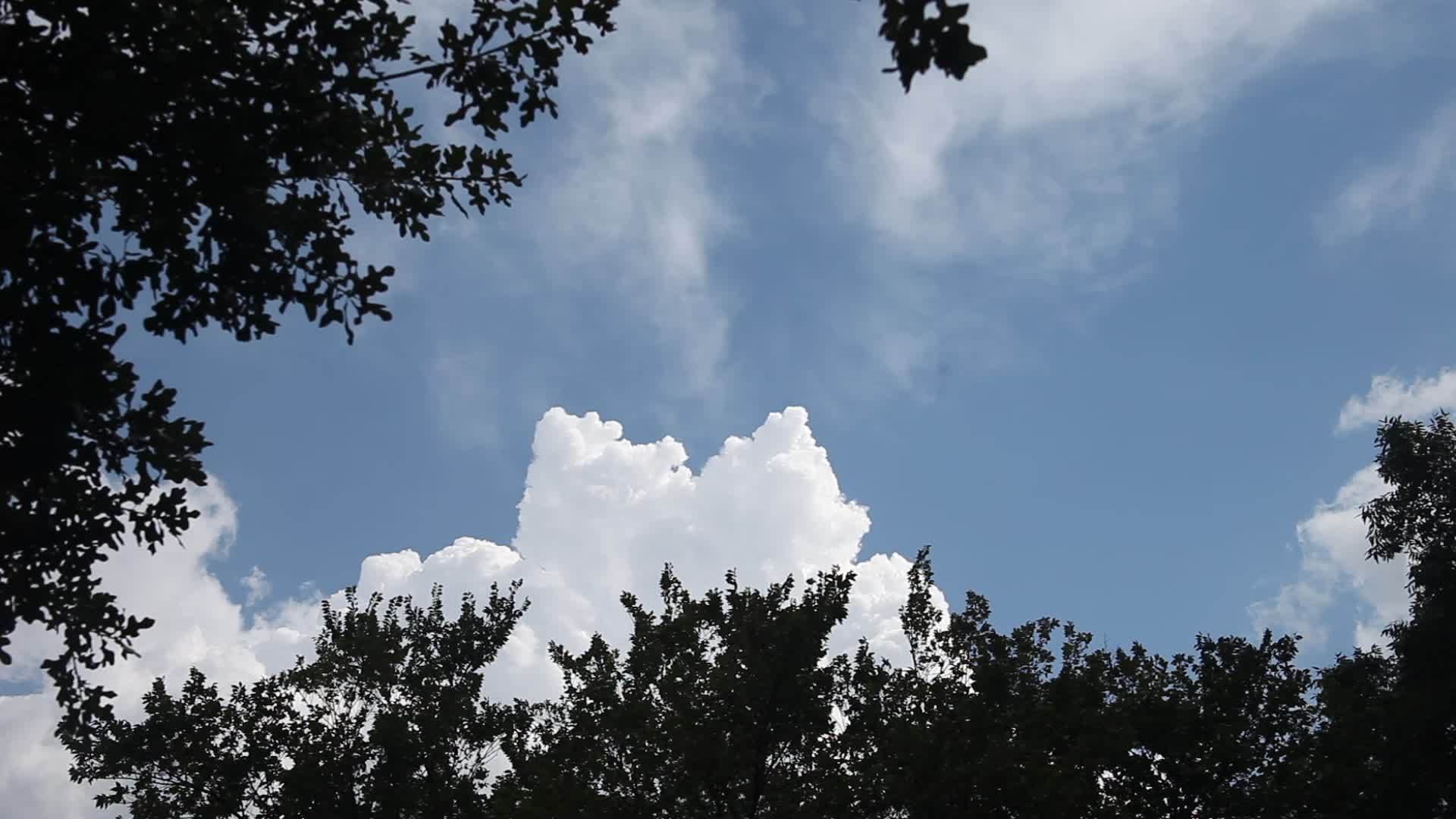 美丽的云彩天空被树木笼罩着视频的预览图