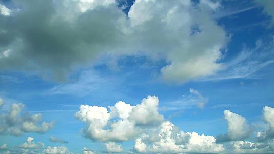 鸟儿在纯蓝的天空背景和白云下飞翔风向漂浮视频的预览图