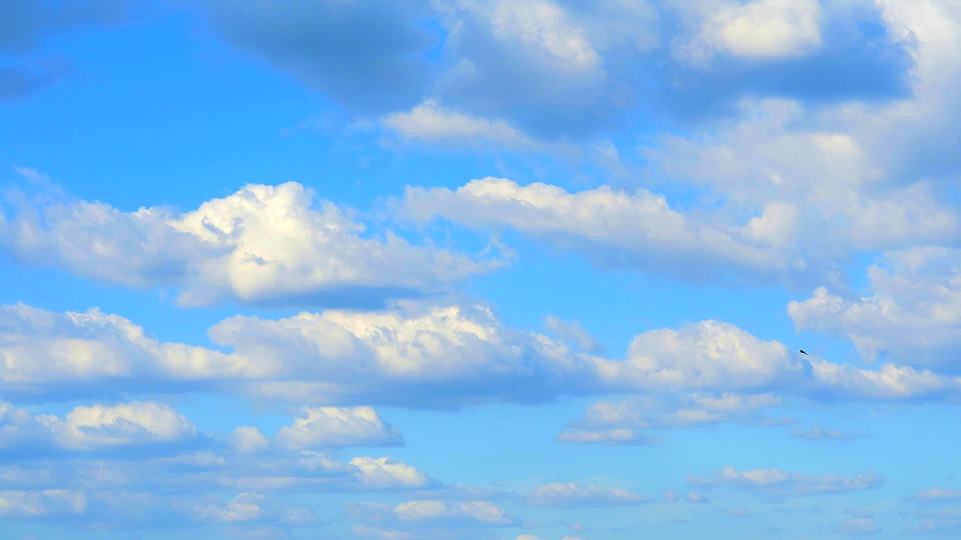 蓝天和下午的云慢慢地移动鸟儿飞翔视频的预览图