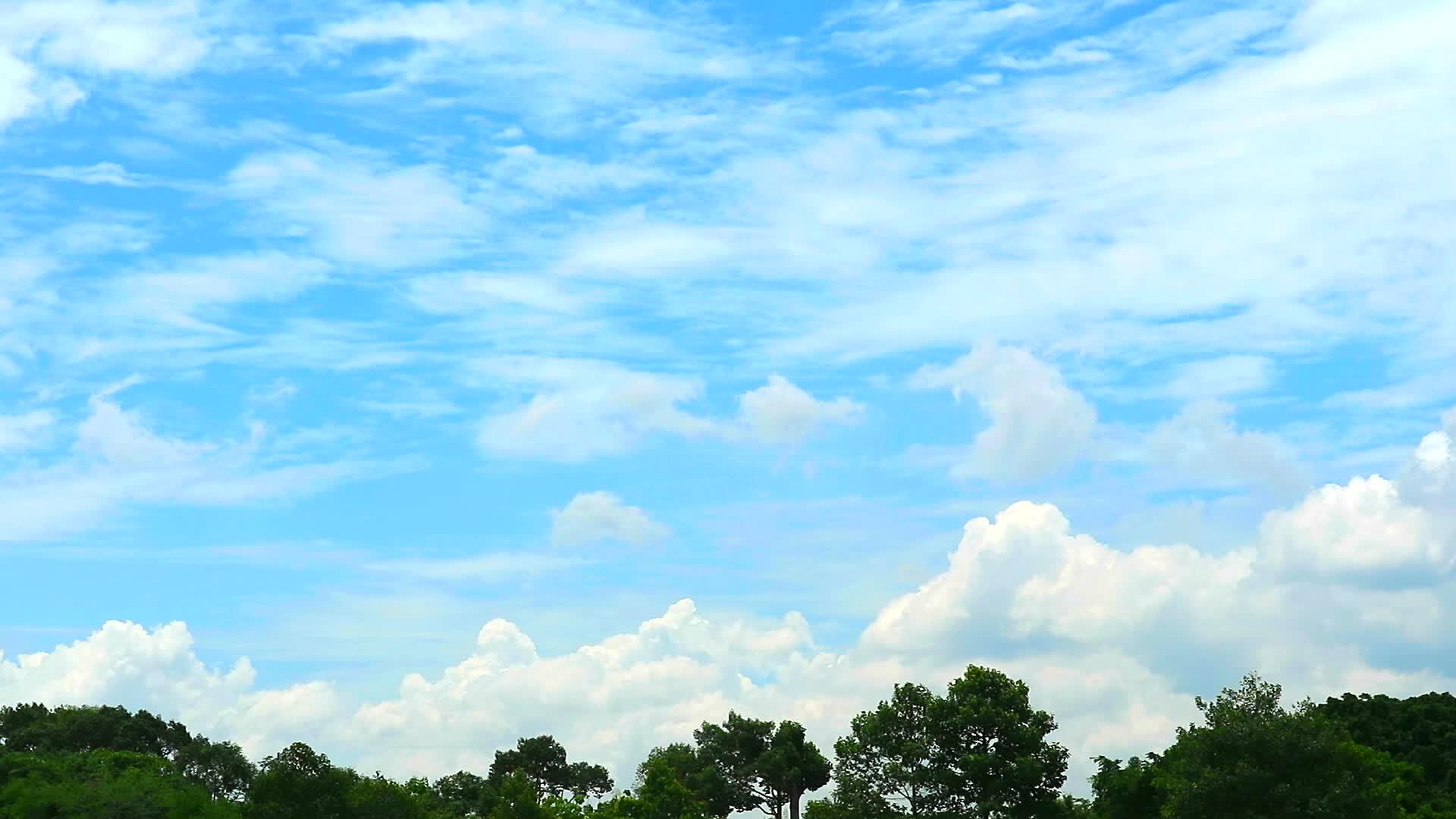 天空中的白云飘过绿色的植物视频的预览图