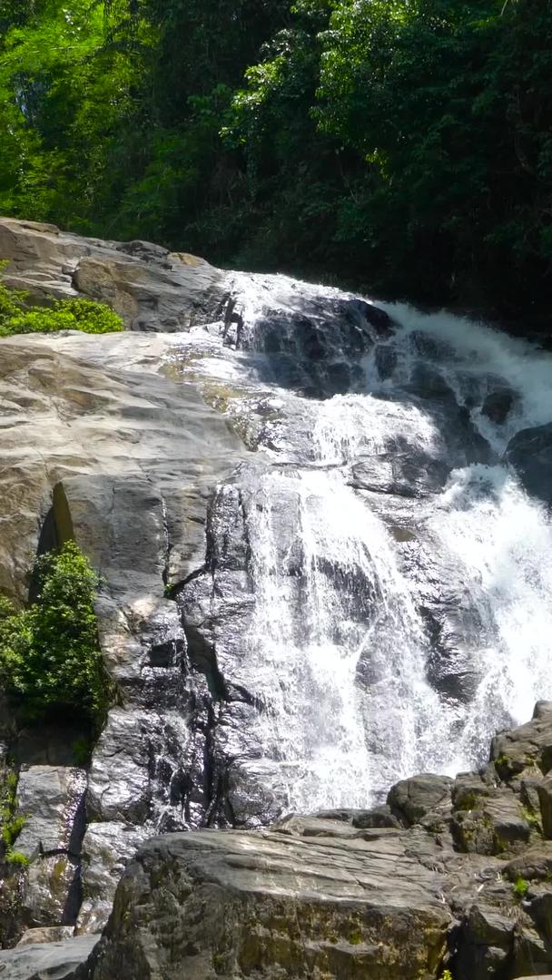 含声音的热带山林自然瀑布实拍视频的预览图