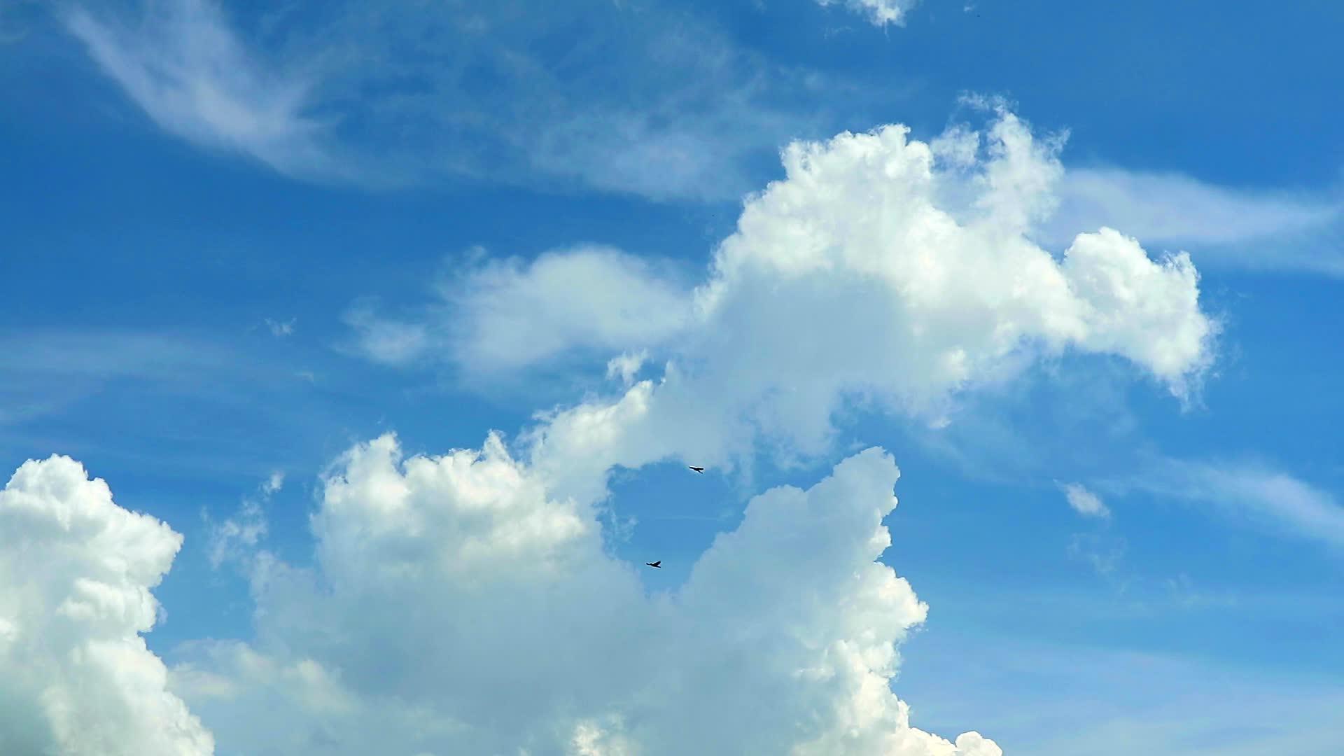 夏天两只鸟在蓝天上飞翔视频的预览图