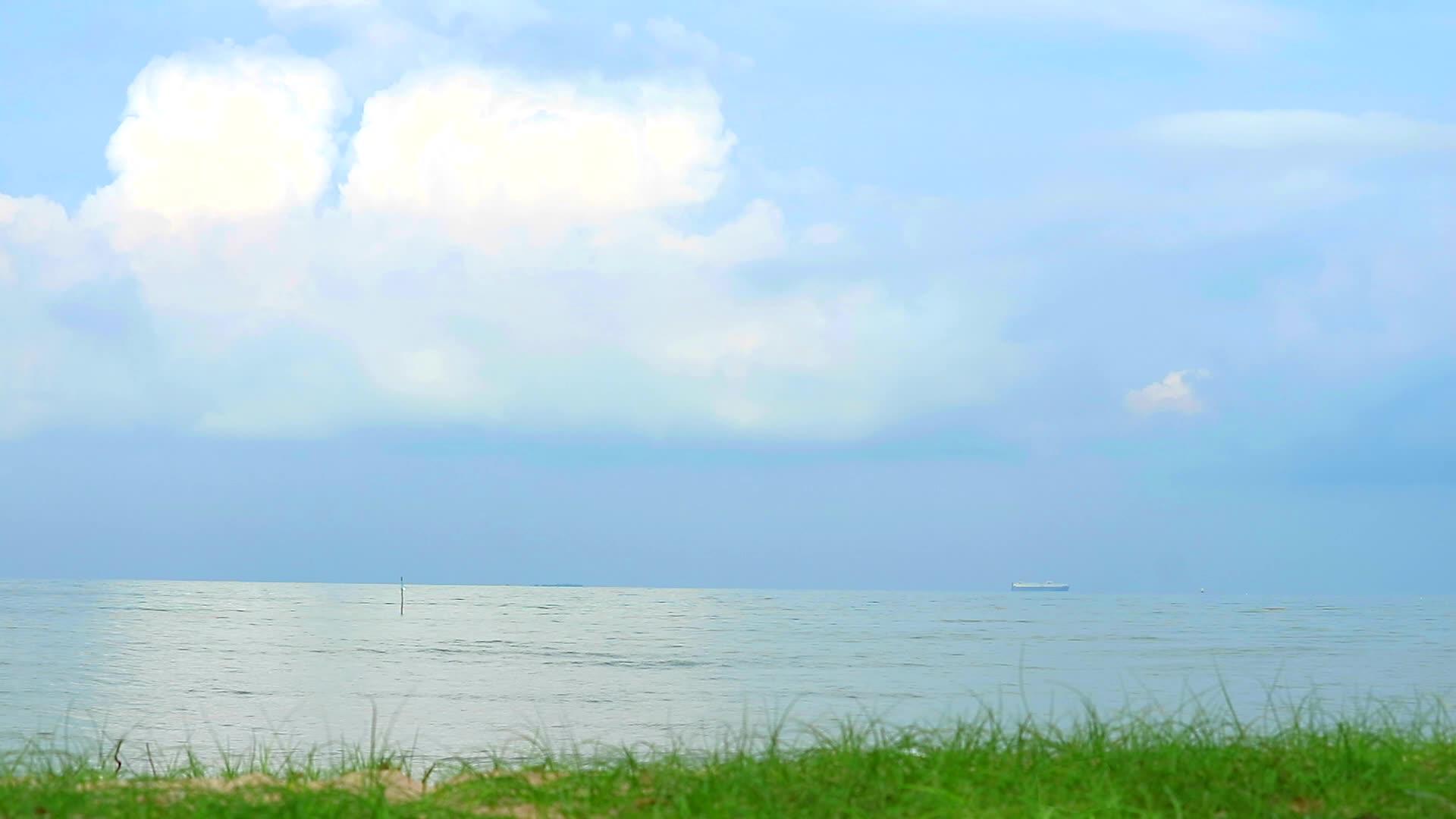 蓝天白云被风吹过大海沙滩上的草原视频的预览图