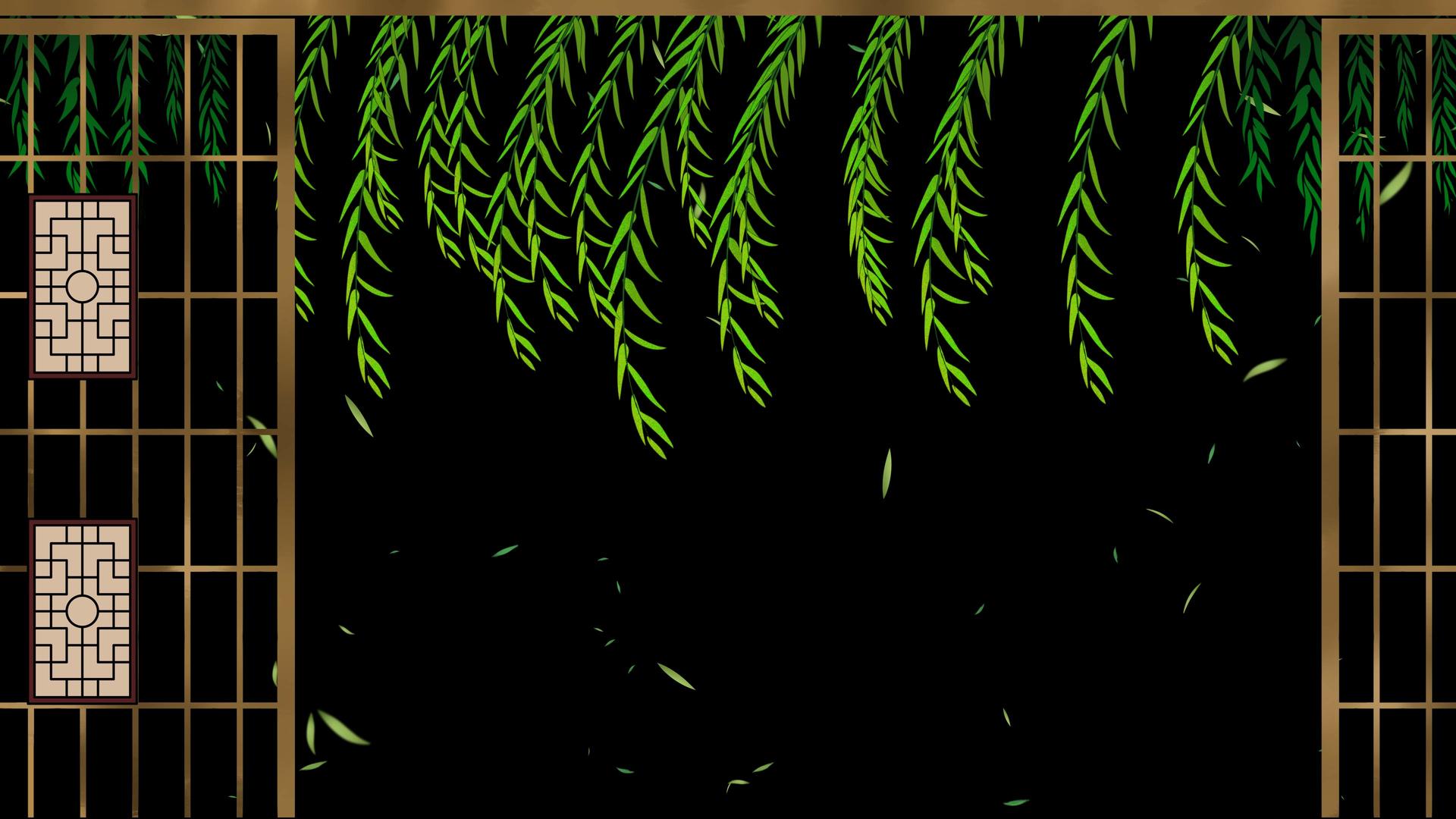 春天的柳枝窗框动画视频的预览图