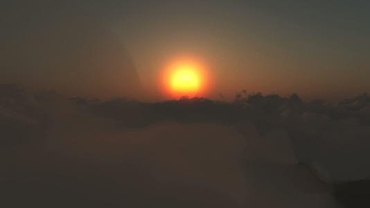 夕阳在阳光下飞舞视频的预览图