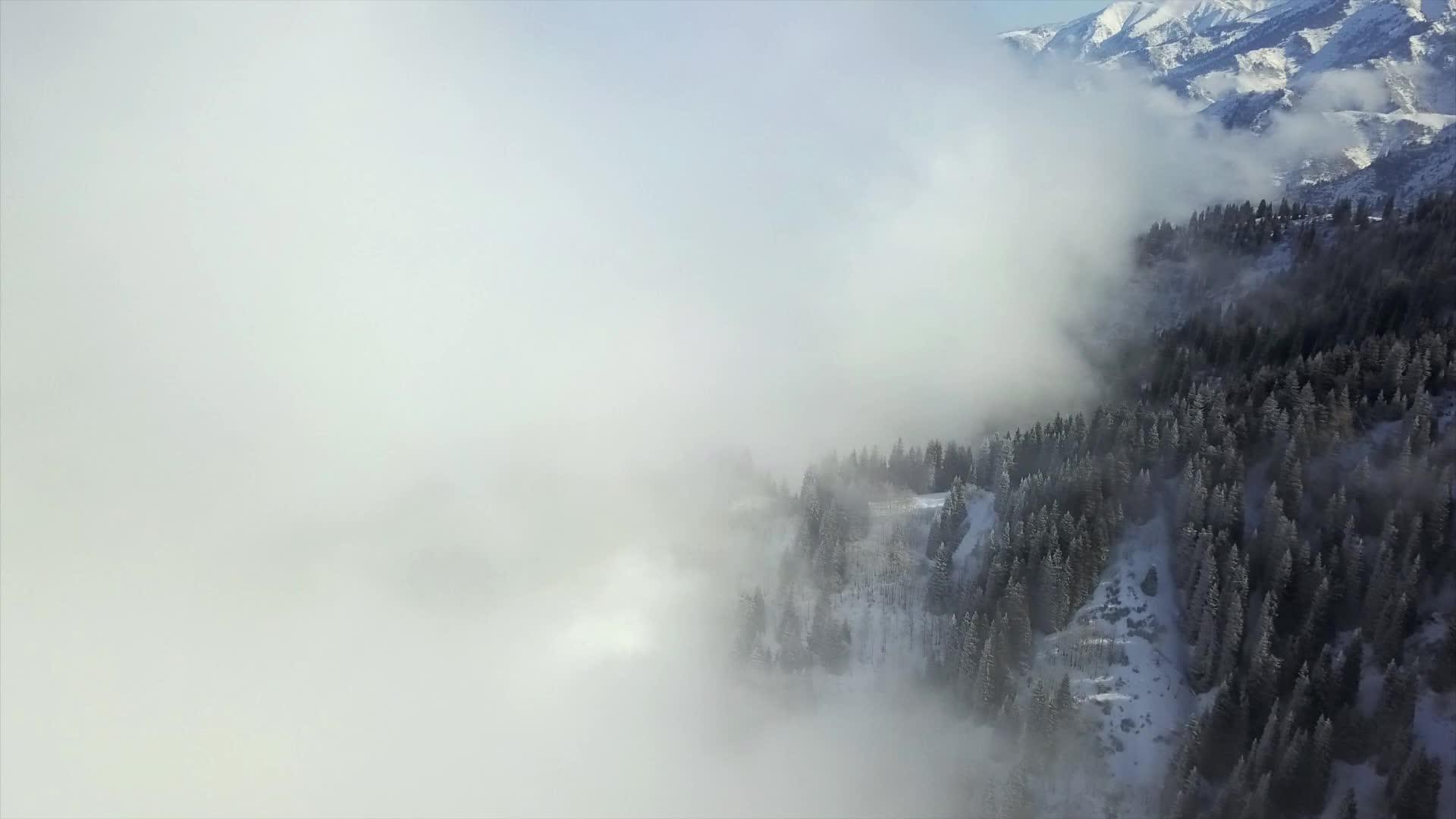 在山上的云里飘扬视频的预览图
