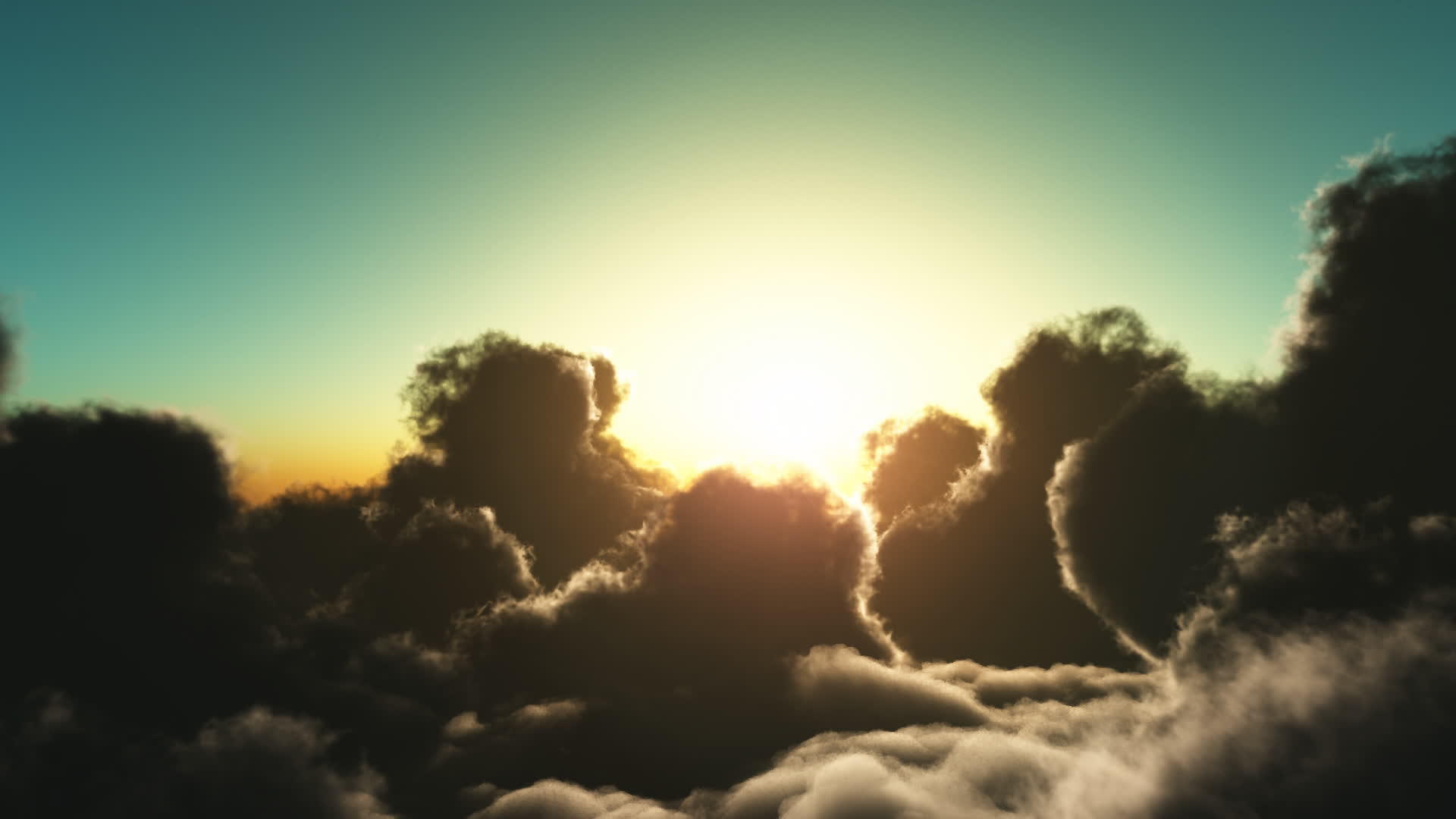 飞翔在云上视频的预览图