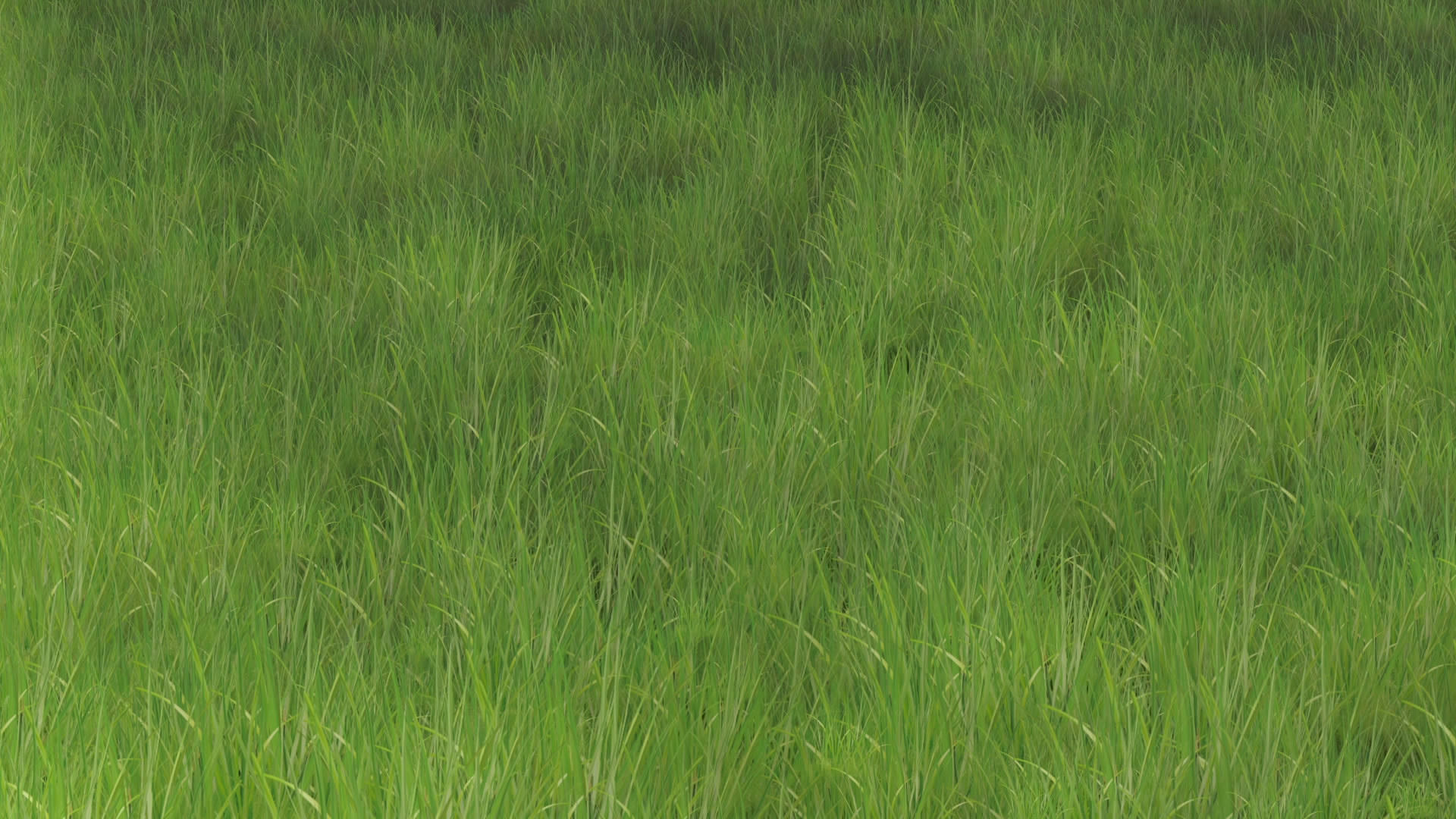 草地背景素材视频的预览图